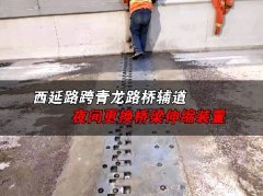 西安青龙路桥桥梁伸缩缝更