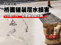 桥面铺装层水损害病害解决